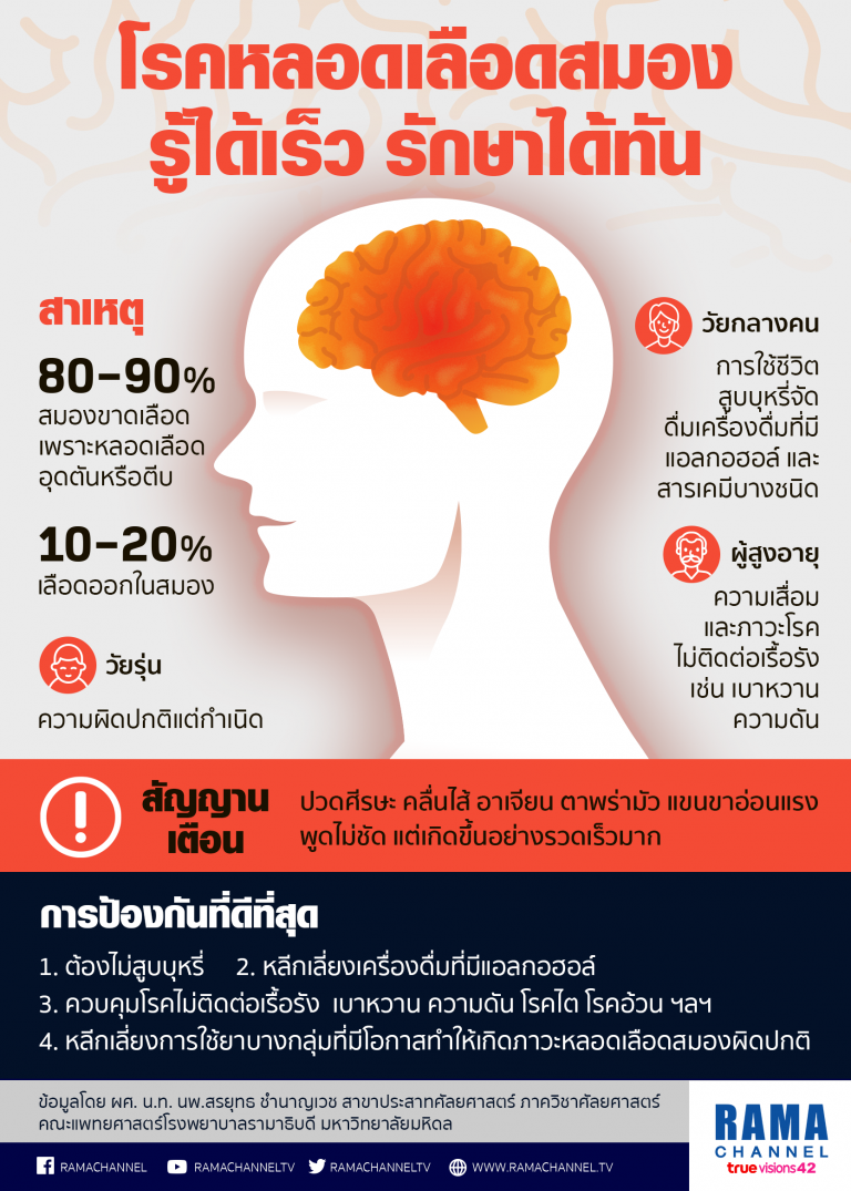 info หลอดเลือด