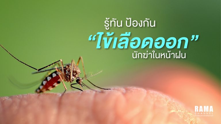 รู้ทัน ป้องกัน “ไข้เลือดออก” นักฆ่าในหน้าฝน