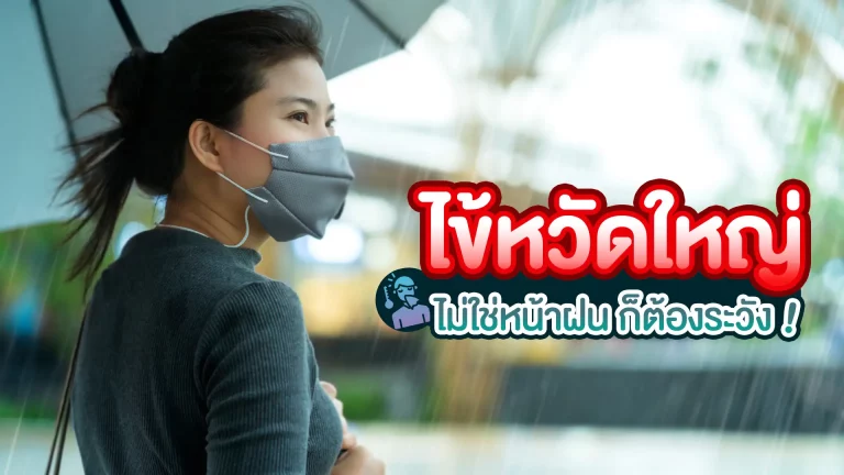 โรคไข้หวัดใหญ่ เป็นอีกหนึ่งโรคที่พบได้บ่อยในประเทศไทย ซึ่ง ไข้หวัดใหญ่ เกิดได้ตลอดทั้งปีแต่ช่วงที่เกิดการระบาดมากที่สุดคือช่วงฤดูฝนและฤดูหนาว