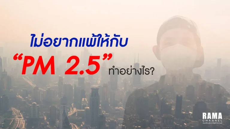 ในช่วงสัปดาห์ที่ผ่านมา ฝุ่น PM 2.5 มีระดับพุ่งสูงขึ้นอย่างรวดเร็ว อาจก่อให้เกิดปัญหาสุขภาพมากมาย ไม่ว่าจะเป็นเกี่ยวกับระบบทางเดินหายใจ ตา และผิวหนัง เราจะปรับตัวอย่างไรในสถานการณ์เช่นนี้ เพื่อป้องกันอันตรายต่อสุขภาพ วันนี้รามาแชนแนลจะมาแบ่งปันวิธีรับมือกันค่ะ