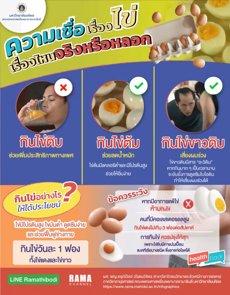 ความเชื่อผิดๆเกี่ยวกับไข่ (ปรับ)19.7.65-01(1)