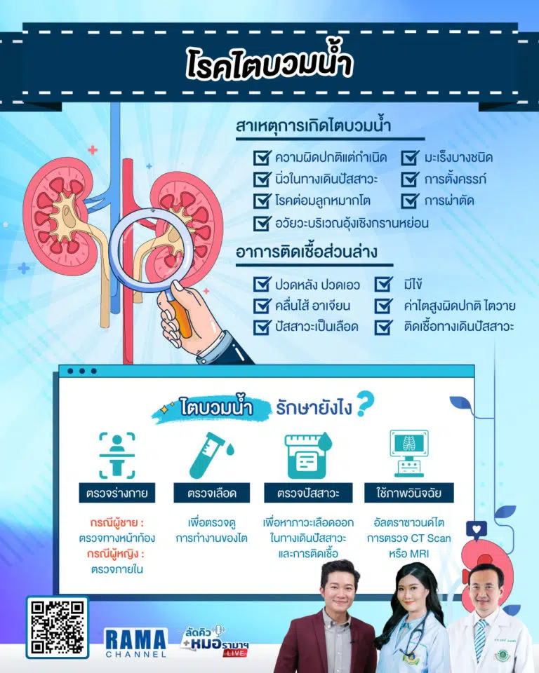 โรคไตบวมน้ำ,ไตบวมน้ำ, โรคไต,ไต