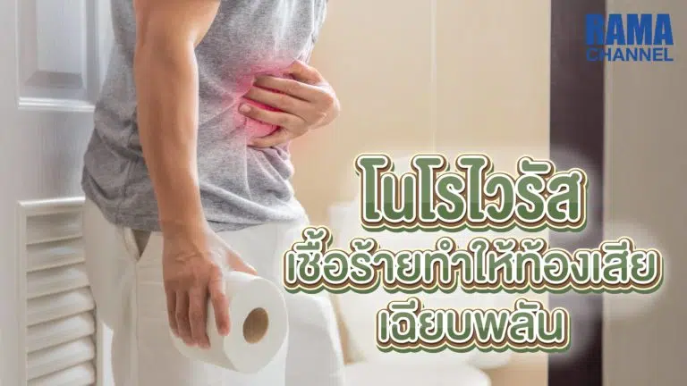 โนโรไวรัส,ไวรัส,ไวรัสท้องเสีย,ท้องร่วง