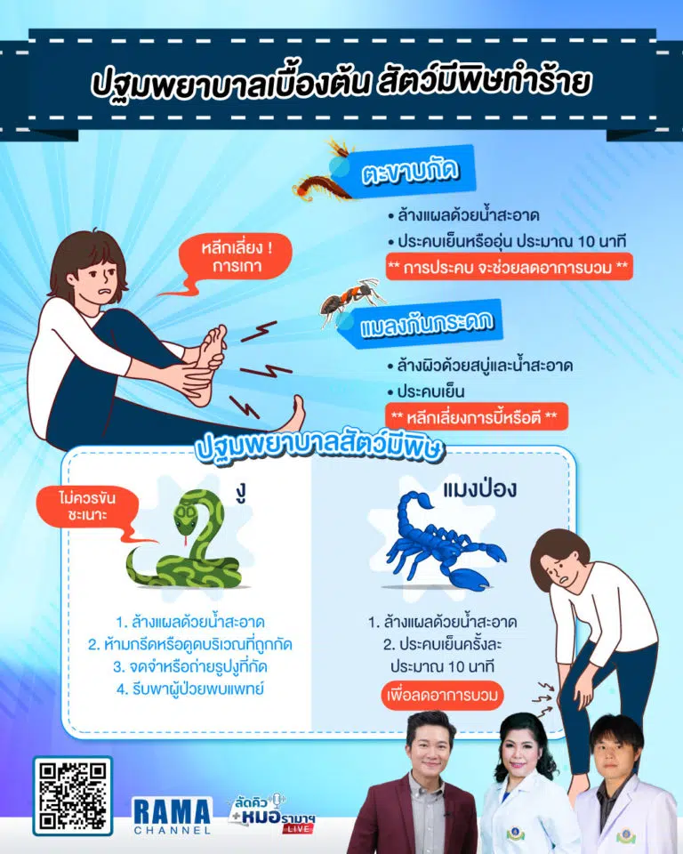 วิธีปฐมพยาบาลเบื้องต้น เมื่อถูกสัตว์มีพิษทำร้าย