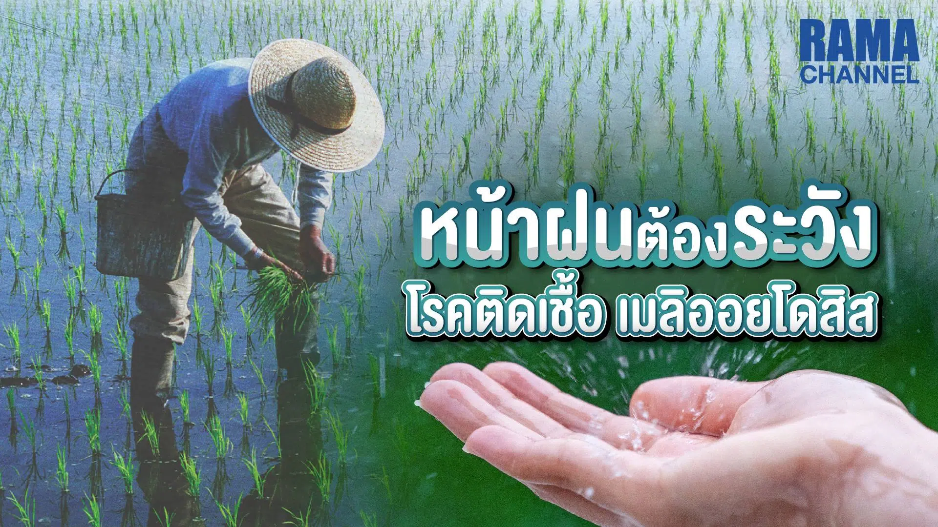 โรคเมลิออยโดสิส
