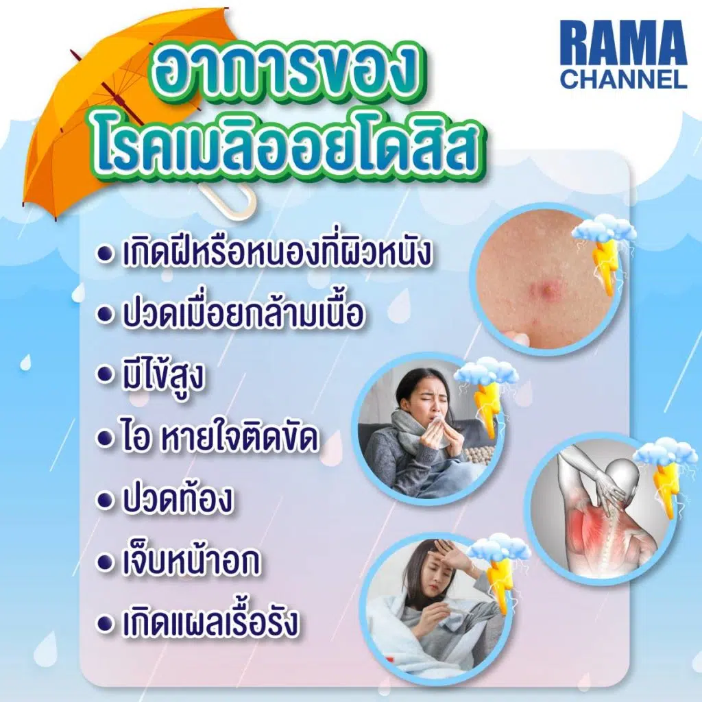 หน้าฝนต้องระวัง ! โรคติดเชื้อ เมลิออยโดสิส