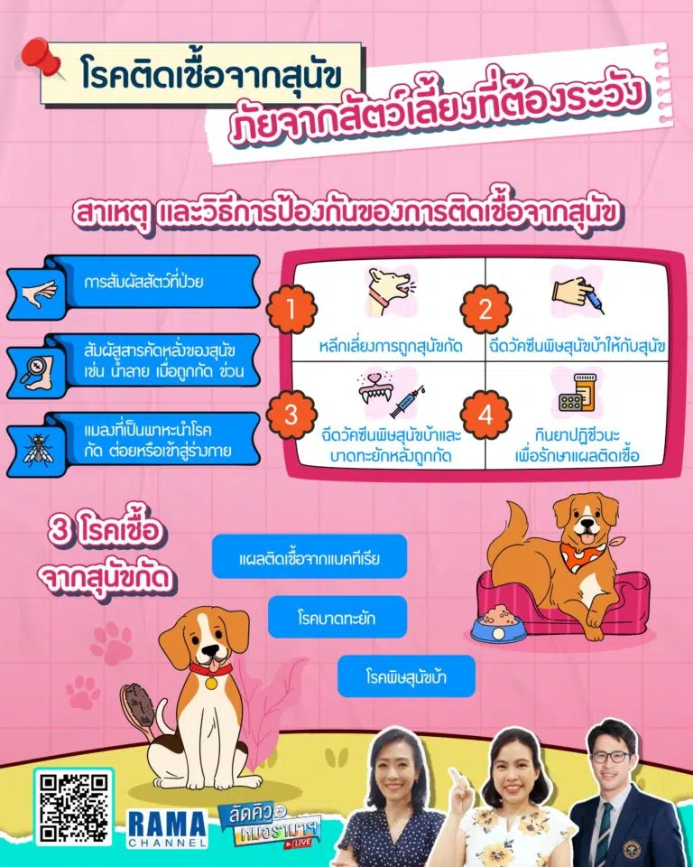 โรคติดเชื้อจากสุนัข