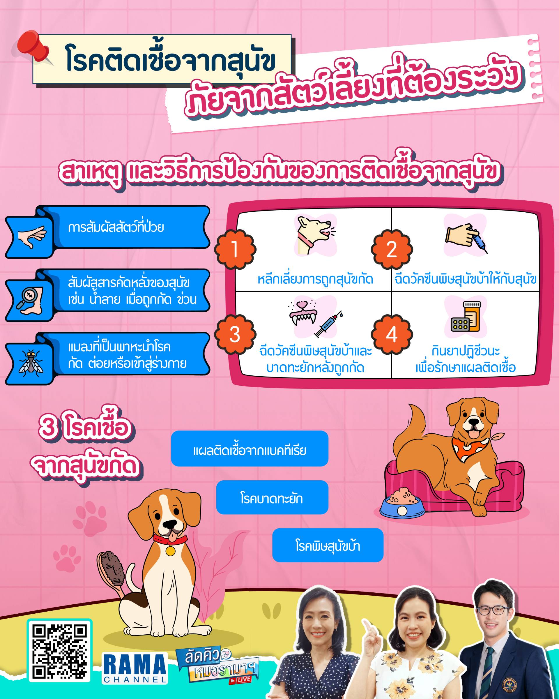 โรคติดเชื้อจากสุนัข