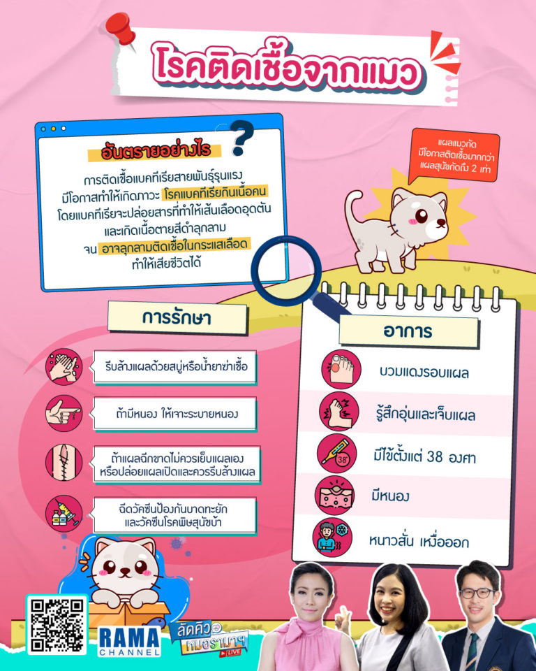 โรคติดเชื้อจากแมว