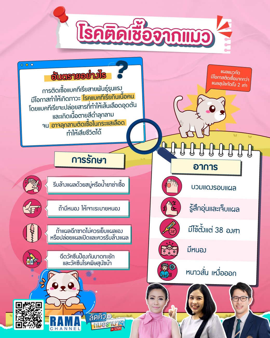 โรคติดเชื้อจากแมว