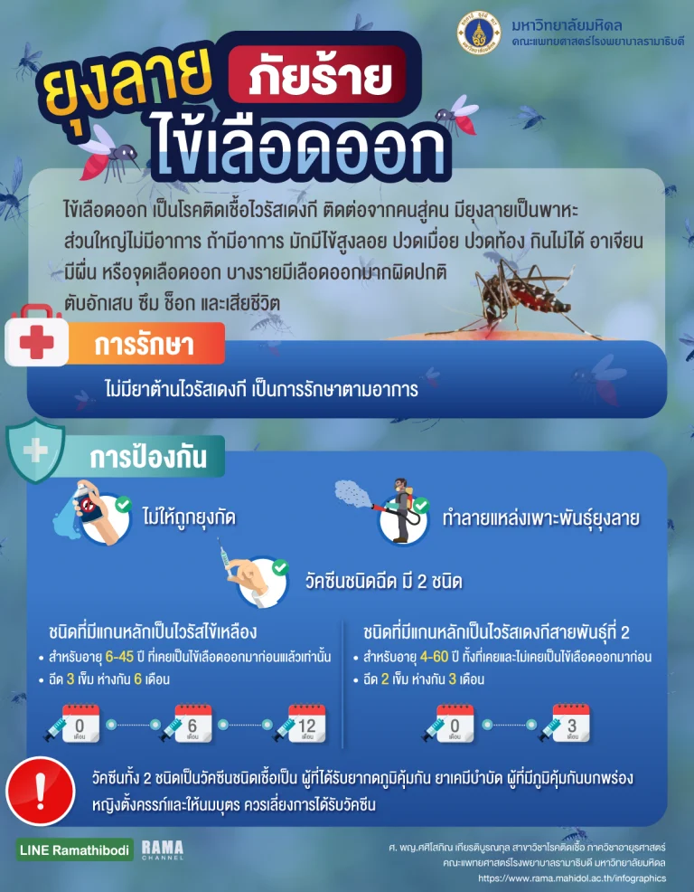 ไข้เลือดออก