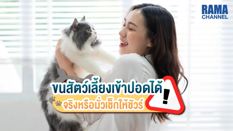 ขนสัตว์เลี้ยงเข้าปอด ได้จริงหรือไม่ ? คำถามนี้เป็นคำถามของคนที่มีหมาแมวหรือสัตว์เลี้ยงที่มี ขน ภายในบ้านว่าขนสัตว์จะมีผลเสียต่อร่างกายหรือไม่
