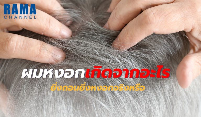 ผมหงอก เกิดจากอะไร ยิ่งถอนยิ่งหงอกจริงหรือ