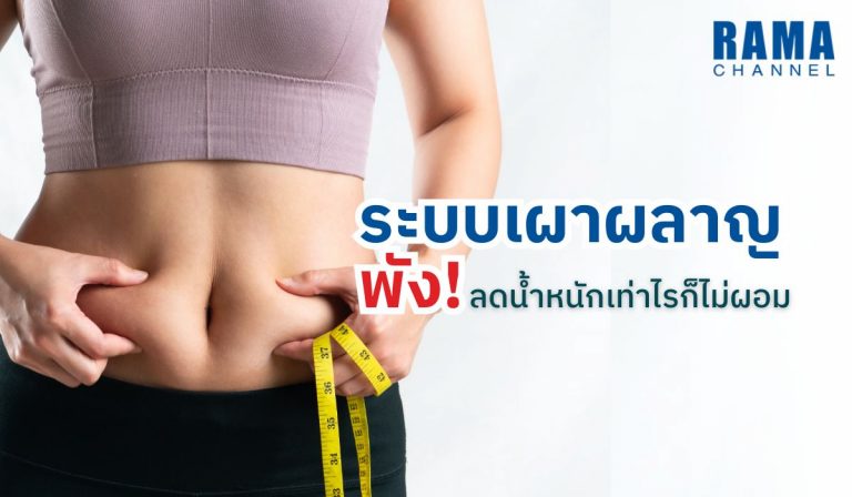 ระบบเผาผลาญพัง ลดน้ำหนักเท่าไรก็ไม่ผอม