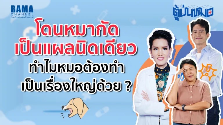 โดนหมากัดเป็นแผลเล็กนิดเดียว ทำไมหมอต้องซีเรียส