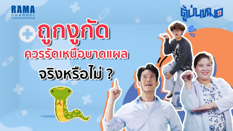 ถูกงูกัด ควรรัดเหนือบาดแผลจริงหรือไม่