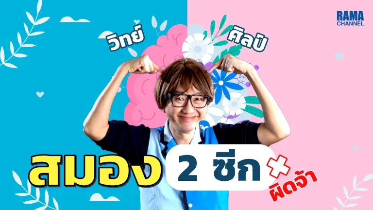 สมองสองซีก