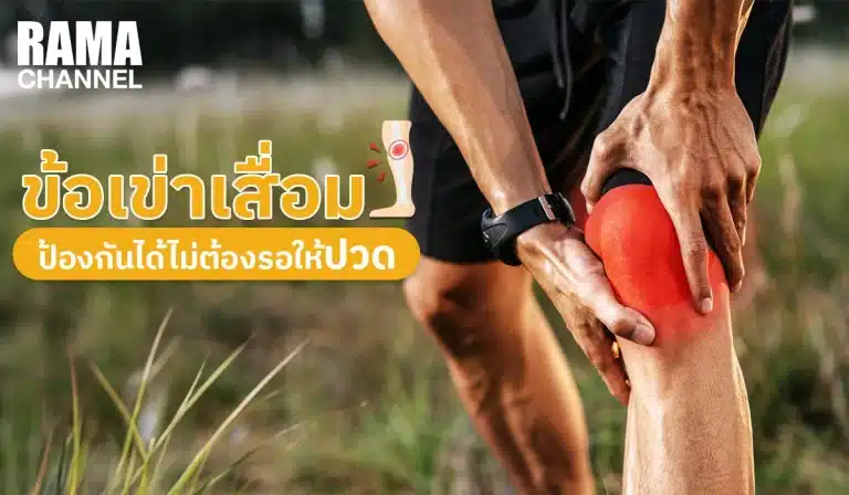 ข้อเข่าเสื่อม ป้องกันได้ไม่ต้องรอให้ปวด
