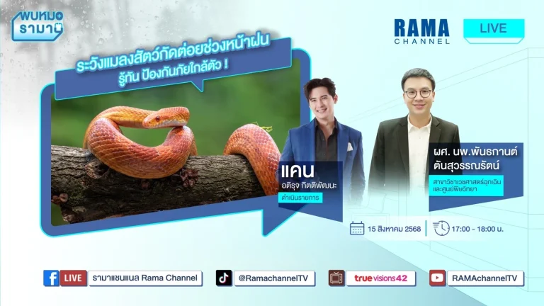 ระวังแมลงสัตว์กัดต่อยช่วงหน้าฝน