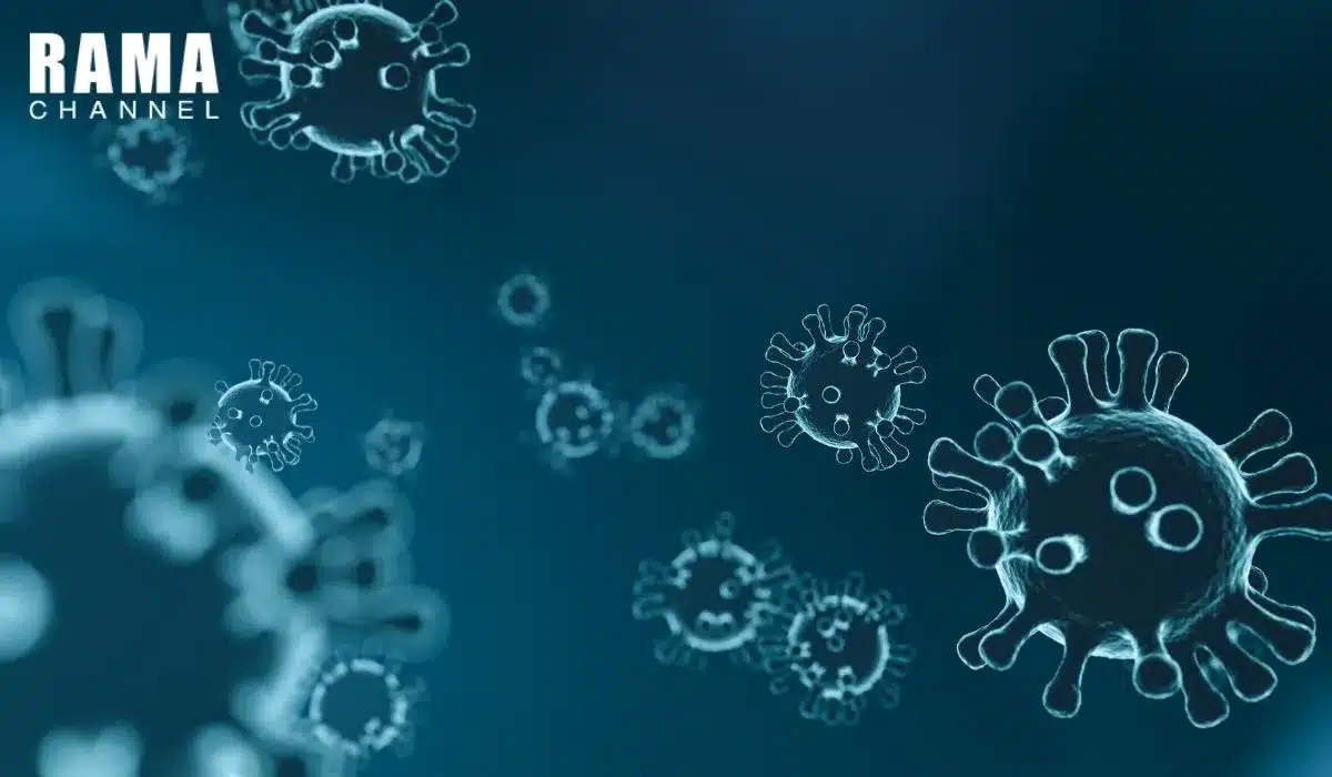 เชื้อไวรัส HPV คืออะไร