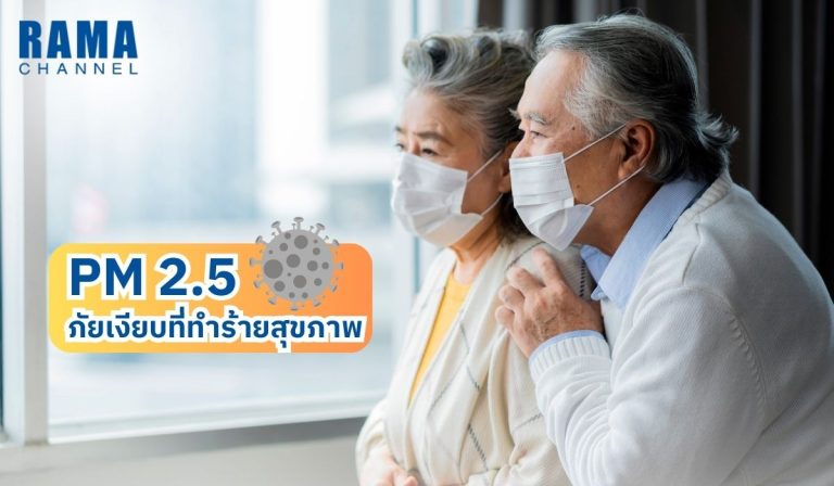 ฝุ่น PM 2.5 มลพิษทางอากาศ