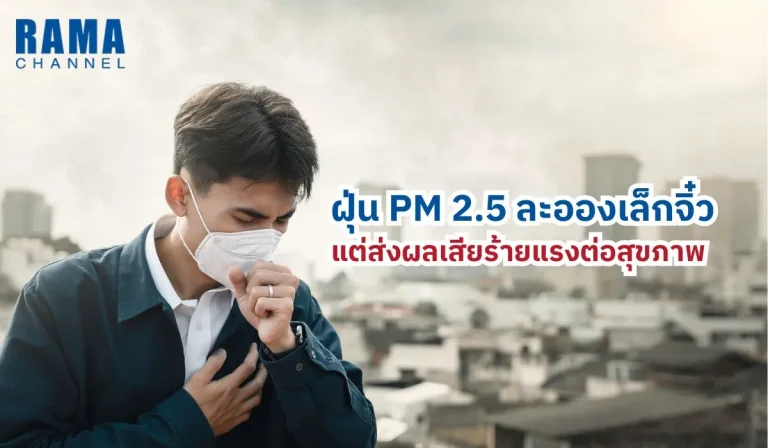 ฝุ่น PM 2.5 ละอองเล็กจิ๋ว แต่ส่งผลเสียร้ายแรงต่อสุขภาพ
