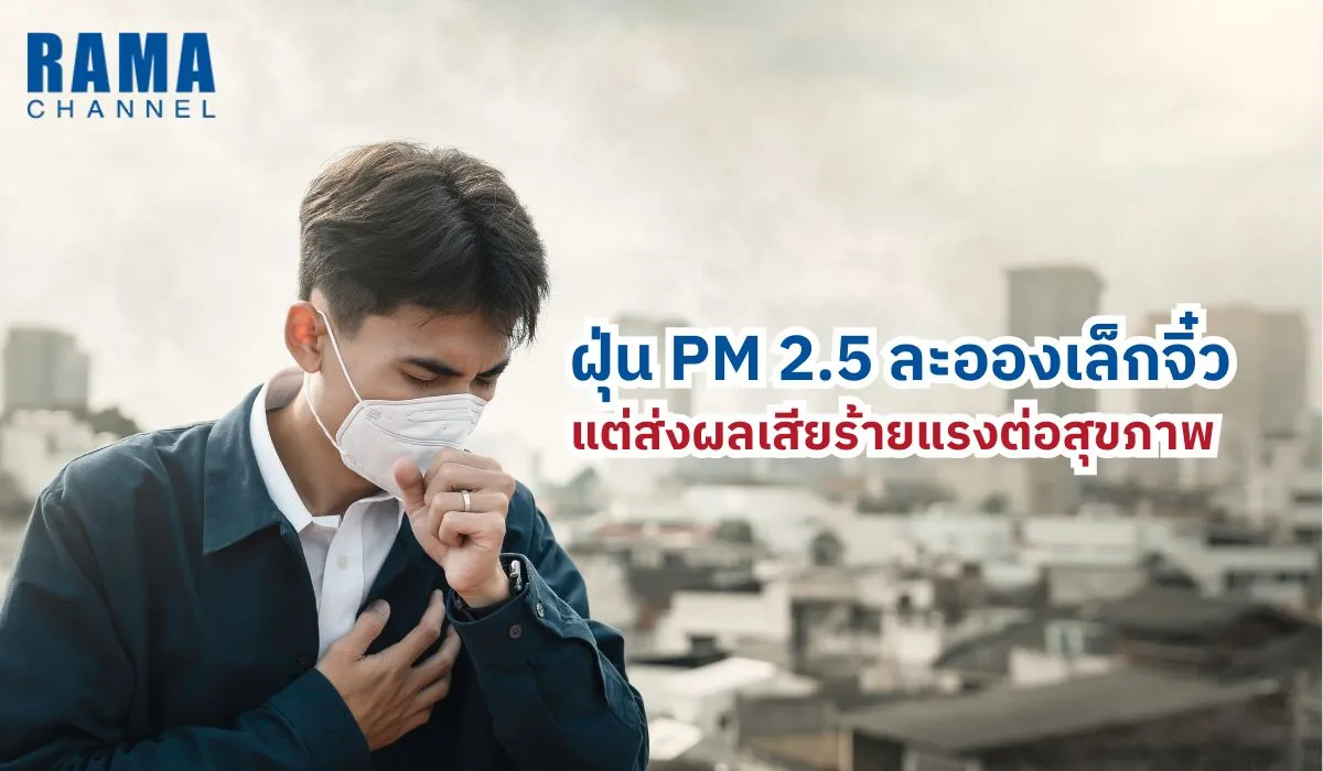ฝุ่น PM 2.5 ละอองเล็กจิ๋ว แต่ส่งผลเสียร้ายแรงต่อสุขภาพ
