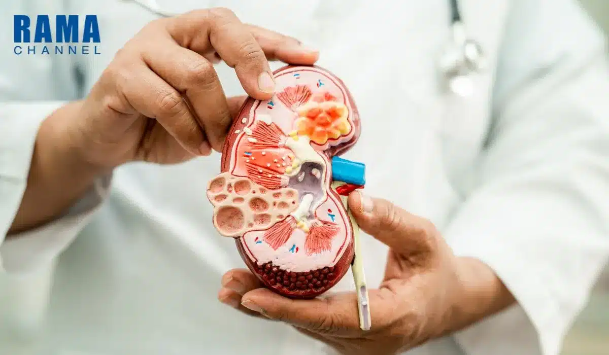 วิธีดูแลตัวเองเบื้องต้นเมื่อเป็นโรคไต