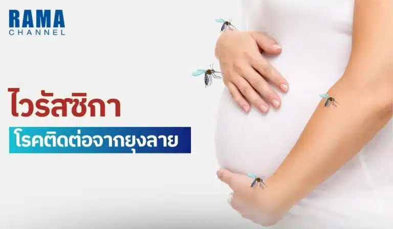 ไวรัสซิกา โรคติดต่อจากยุงลาย