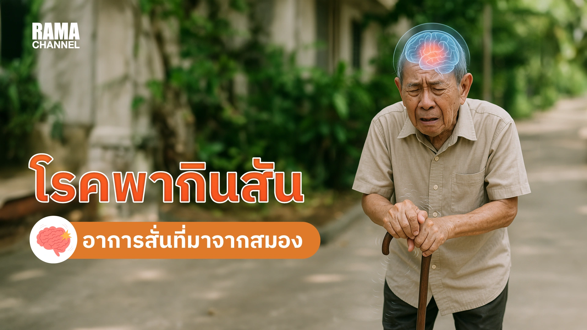 โรคพากินสัน-อาการสั่นที่มาจากสมอง