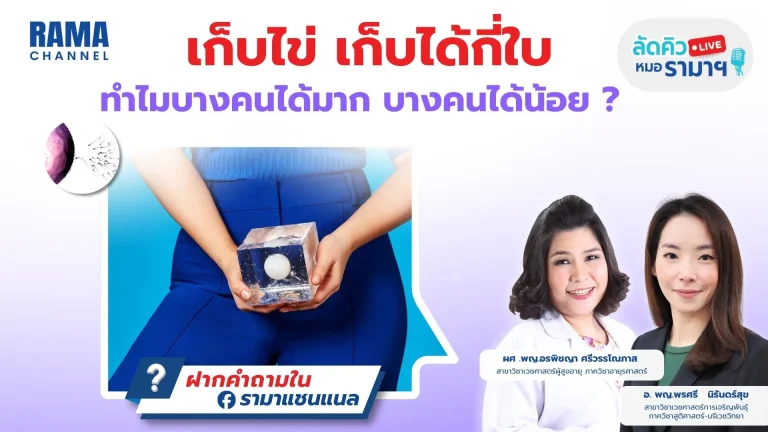 เก็บไข่-เก็บได้กี่ใบ-ทำไมบางคนได้มาก-บางคนได้น้อย