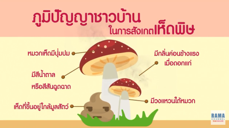 เห็ดพิษ