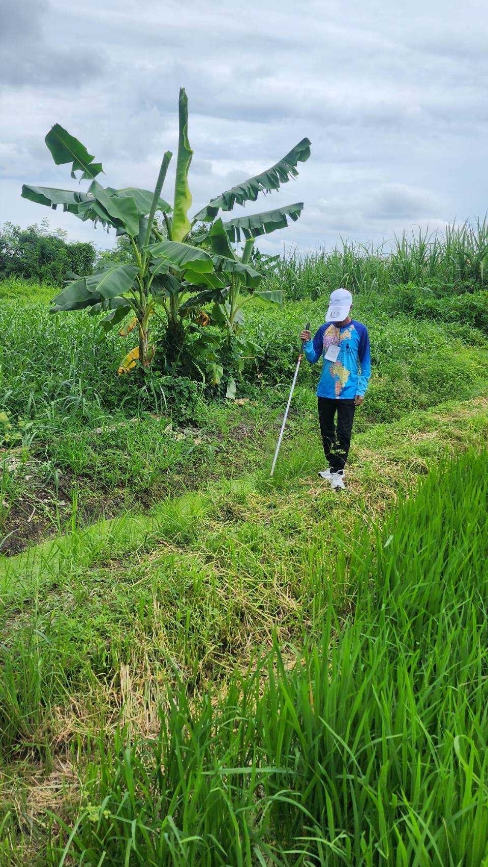 โครงการบริการฟื้นฟูสมรรถภาพคนพิการทางการเห็น รุ่นที่ 4