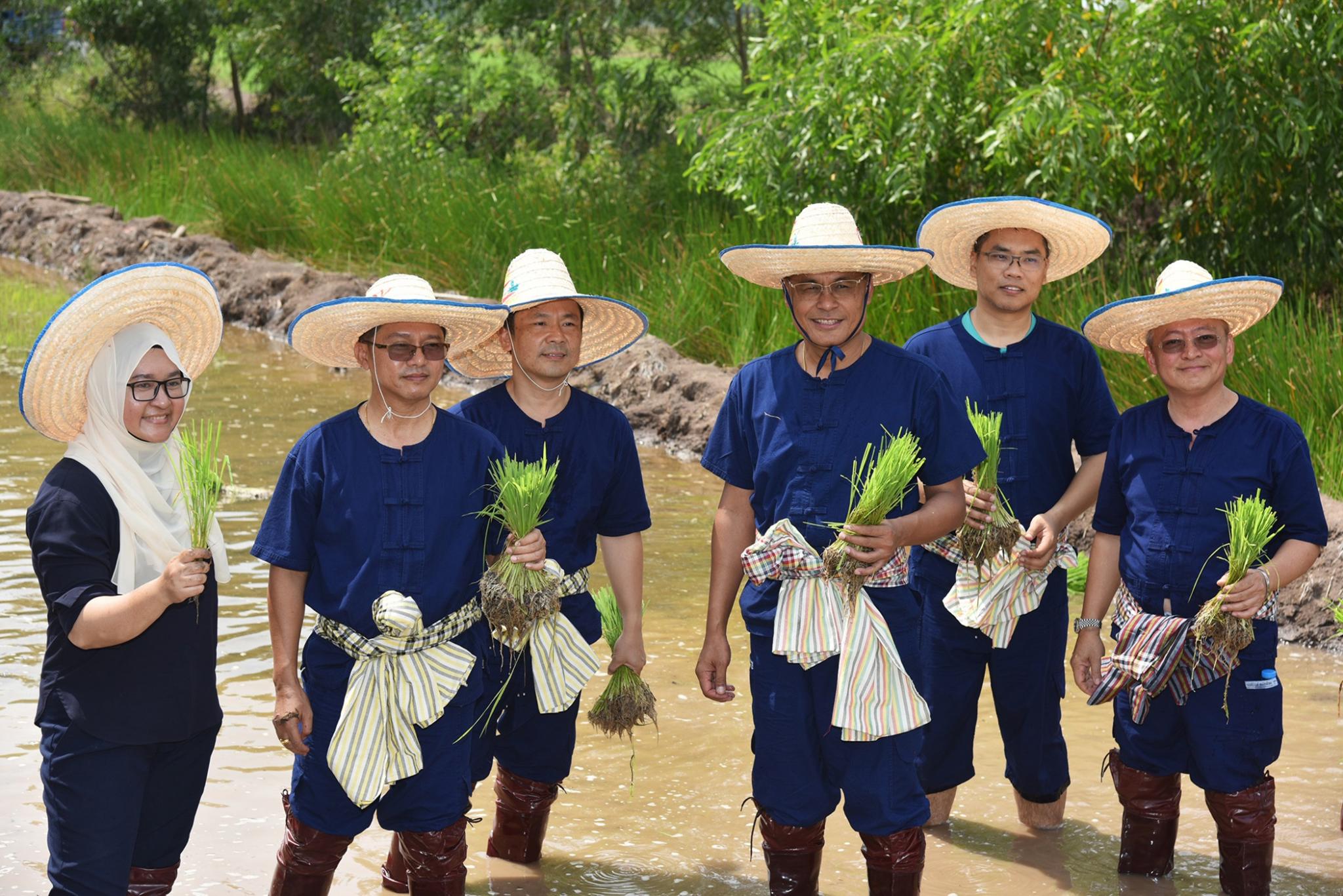 CSR จิตอาสาพัฒนาฟาร์มสร้างสุขรามาธิบดี
