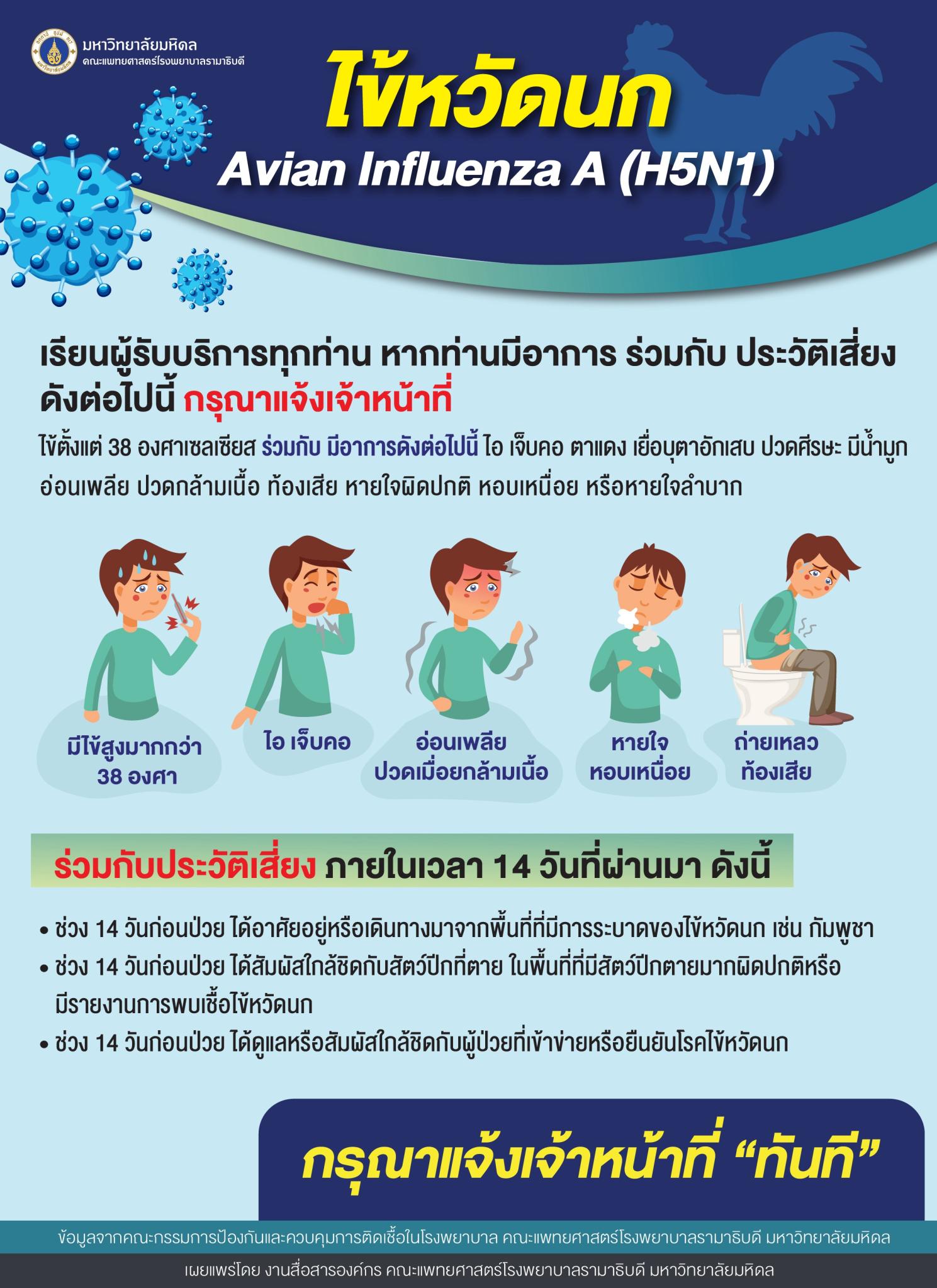 ไข้หวัดนก Avian Influenza A (H5N1)