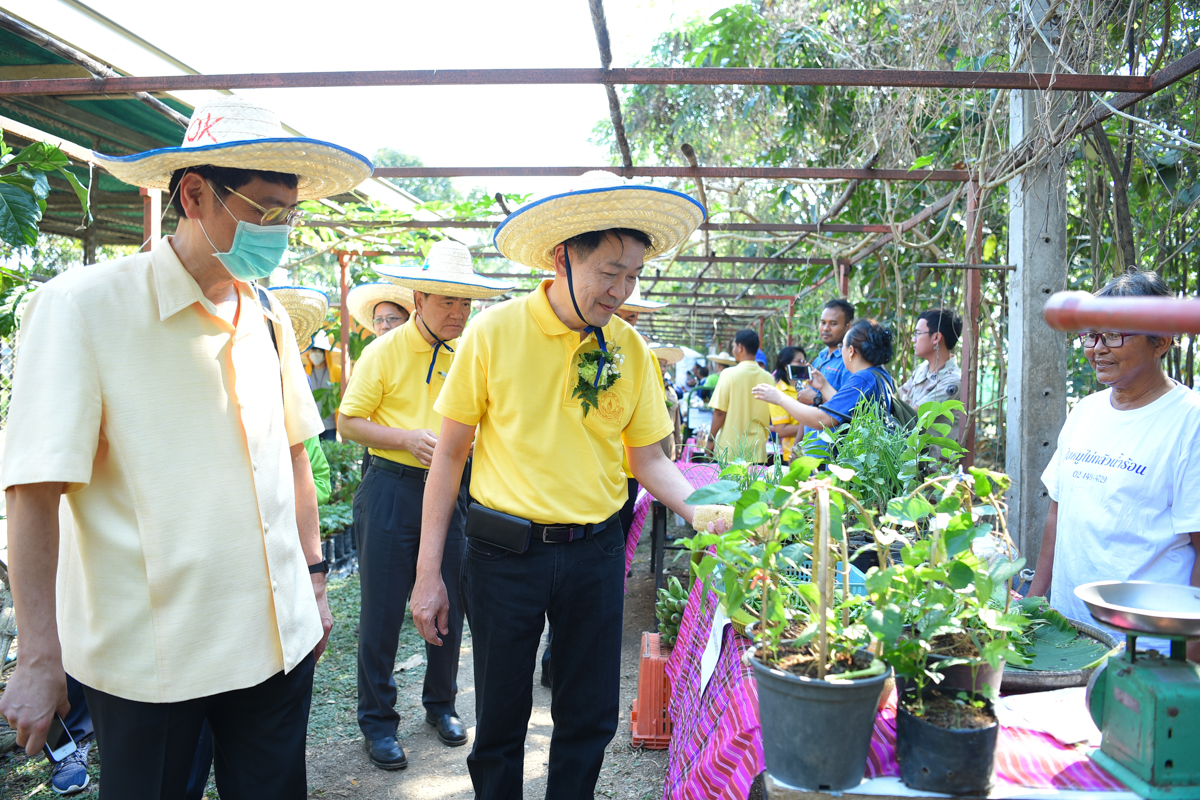 งานเปิดบ้าน ฟาร์มสร้างสุข งานเปิดบ้าน ฟาร์มสร้างสุข
