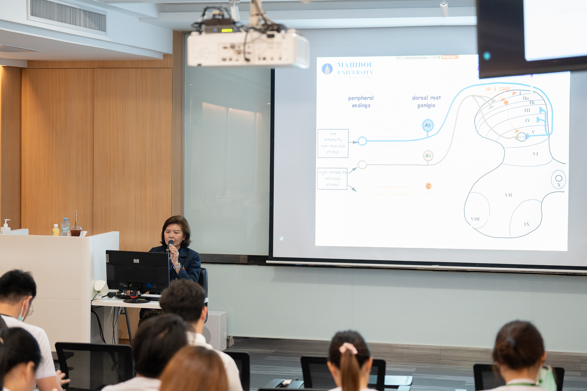 ประชุมวิชาการ Meet the Expert Palliative Care Drugs use in Pain management ประชุมวิชาการ Meet the Expert Palliative Care Drugs use in Pain management