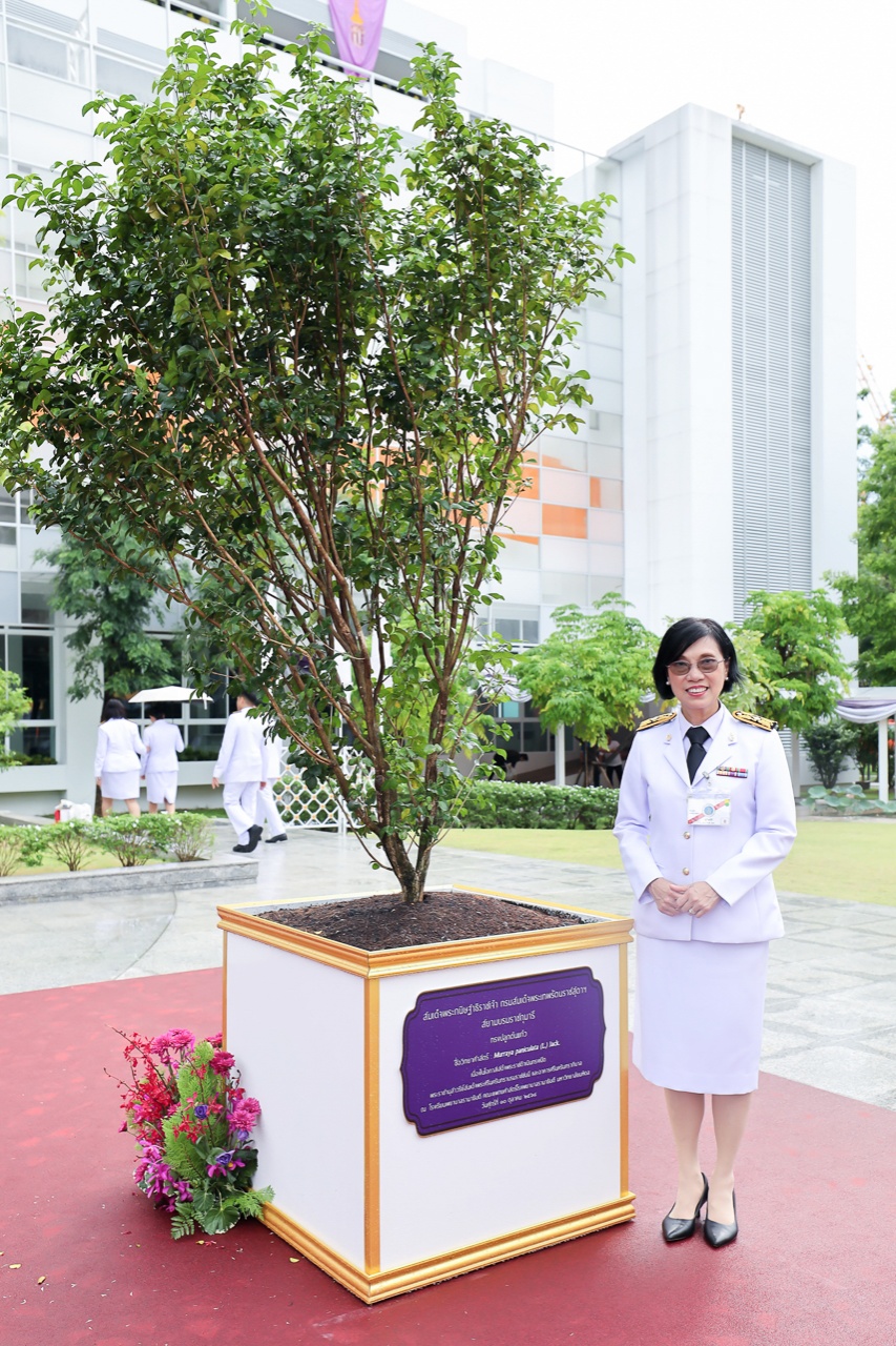สมเด็จพระกนิษฐาธิราชเจ้า กรมสมเด็จพระเทพรัตนราชสุดา ฯ สยามบรมราชกุมารีเสด็จพระราชดำเนินไปทรงเปิดป้ายชื่ออาคาร “ศรีนครินทราภิบาล” ณ โรงเรียนพยาบาลรามาธิบดี คณะแพทยศาสตร์โรงพยาบาลรามาธิบดี มหาวิทยาลัยมหิดล ศาลายา สมเด็จพระกนิษฐาธิราชเจ้า กรมสมเด็จพระเทพรัตนราชสุดา ฯ สยามบรมราชกุมารีเสด็จพระราชดำเนินไปทรงเปิดป้ายชื่ออาคาร “ศรีนครินทราภิบาล” ณ โรงเรียนพยาบาลรามาธิบดี คณะแพทยศาสตร์โรงพยาบาลรามาธิบดี มหาวิทยาลัยมหิดล ศาลายา