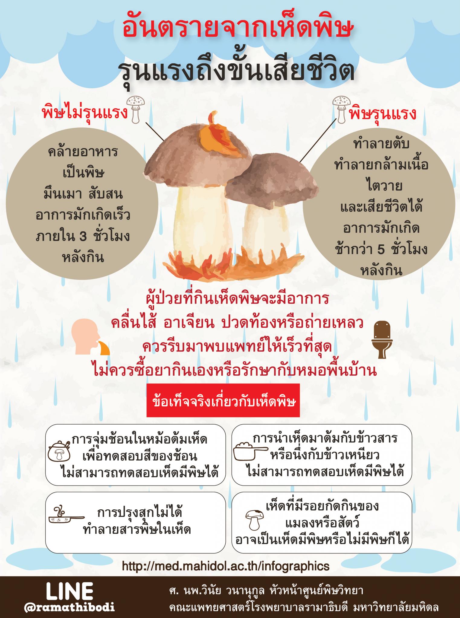 อันตรายจากเห็ดพิษ รุนแรงถึงขั้นเสียชีวิต