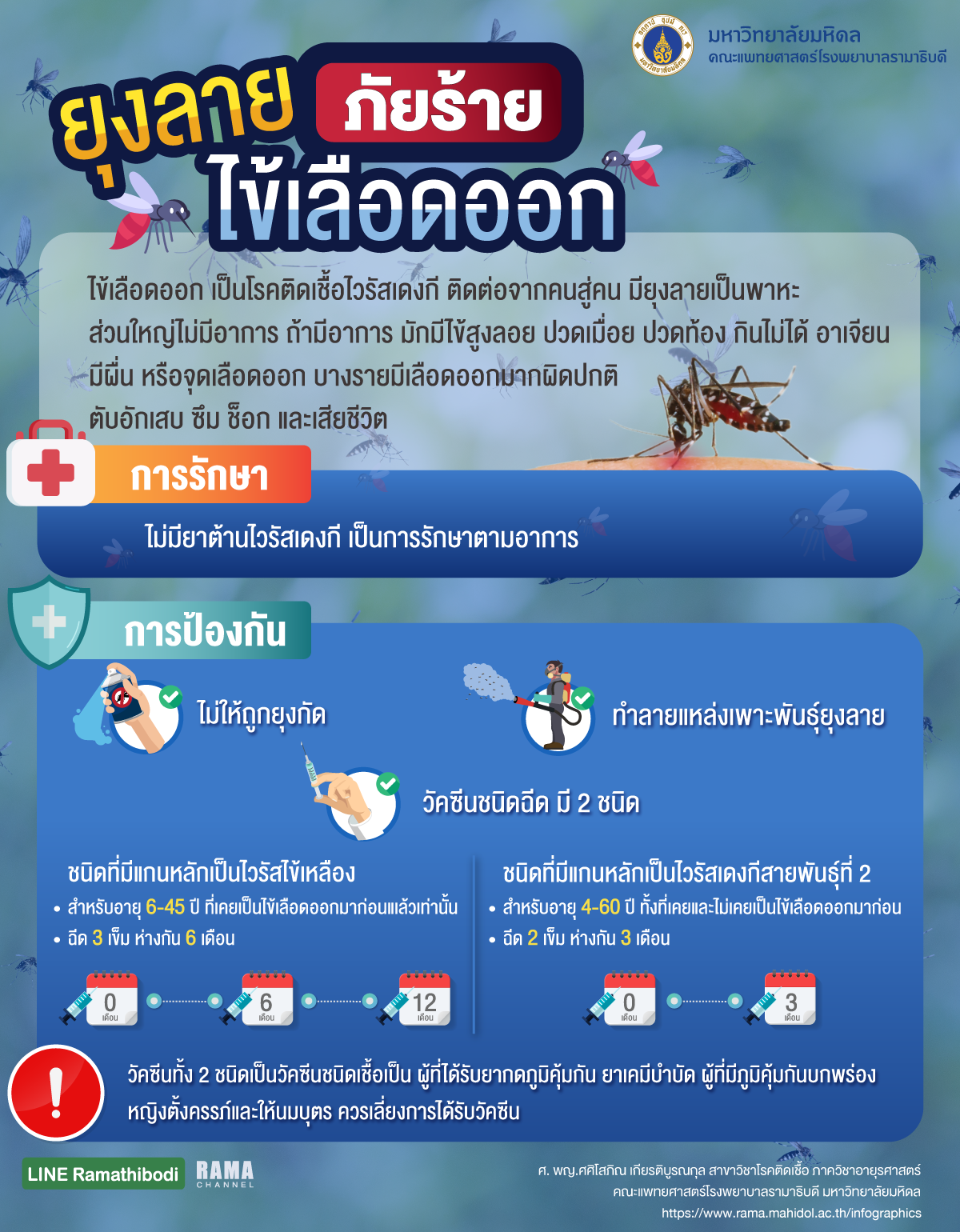 ยุงลาย ภัยร้ายไข้เลือดออก