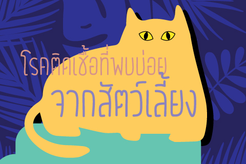 โรคติดเชื้อที่พบบ่อย จากสัตว์เลี้ยง