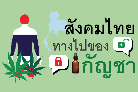 สังคมไทยทางไปของกัญชา 