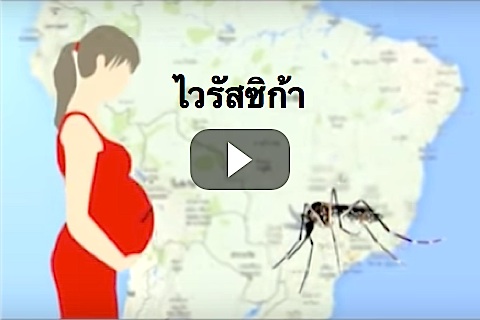 ไวรัสซิก้า (Zika Virus)