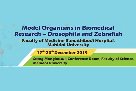 Model Organisms in Biomedical Research - Drosophila and Zebrafish