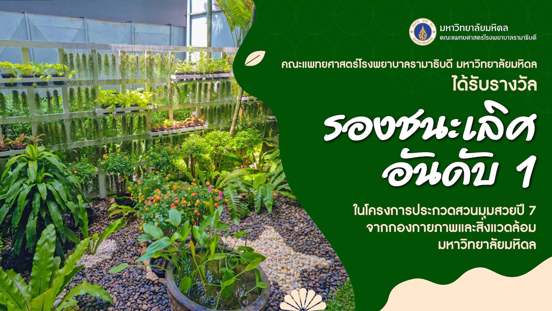 คณะแพทยศาสตร์โรงพยาบาลรามาธิบดี มหาวิทยาลัยมหิดล ได้รับรางวัลรองชนะเลิศ อันดับ 1 ในโครงการประกวดสวนมุมสวยปี 7