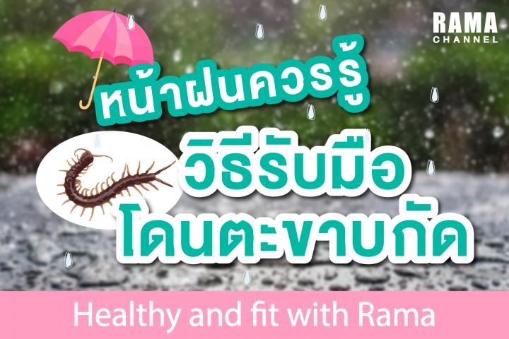 หน้าฝนควรรู้ วิธีรับมือโดนตะขาบกัด