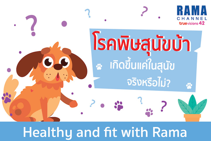 โรคพิษสุนัขบ้า เกิดขึ้นแค่ในสุนัขจริงหรือไม่?