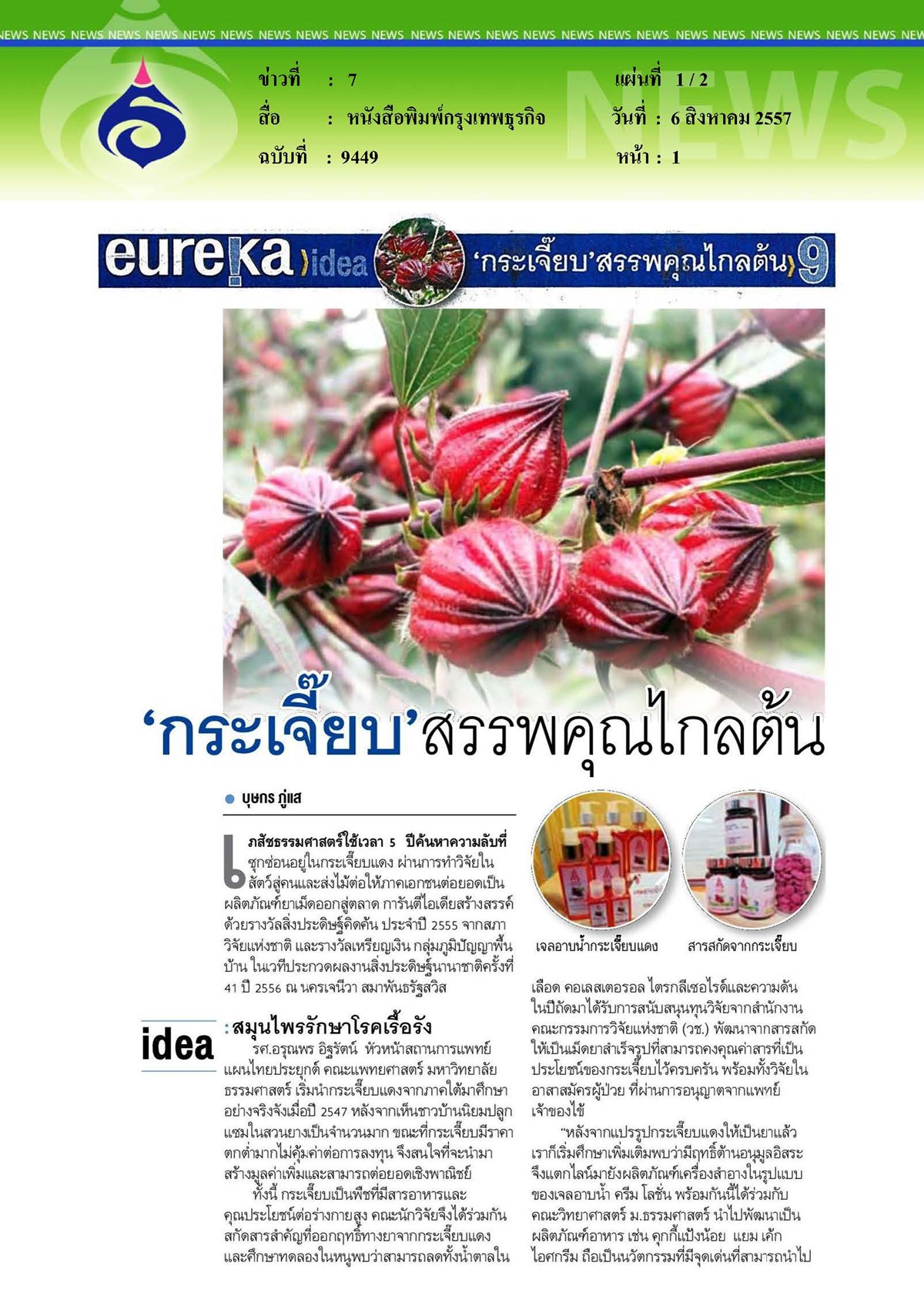 กรุงเทพธุรกิจ : 'กระเจี๊ยบ' สรรพคุณไกลต้น