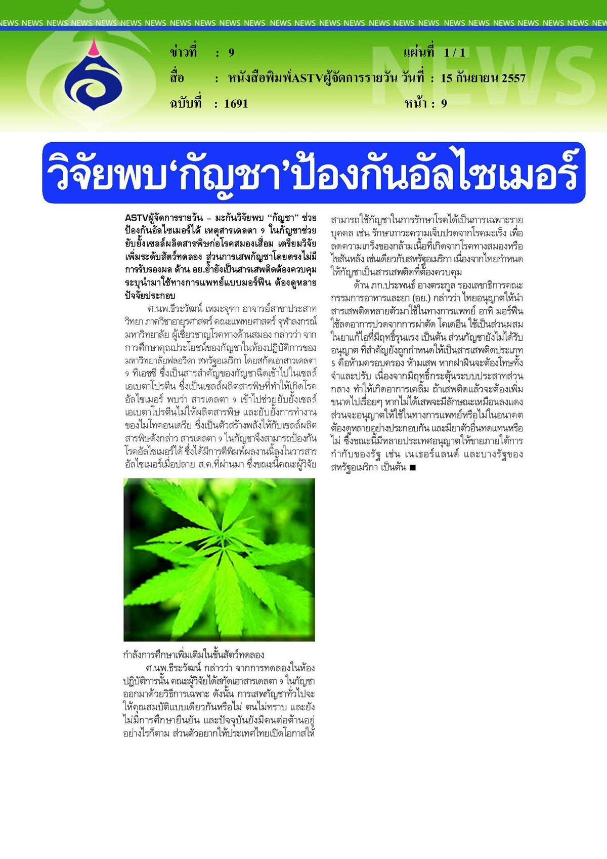 ASTVผู้จัดการรายวัน : วิจัยพบ 'กัญชา' ป้องกันอัลไซเมอร์