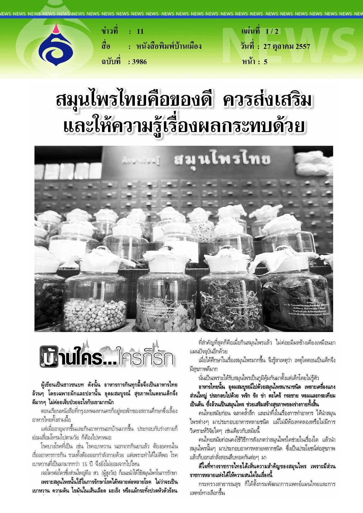 บ้านเมือง : สมุนไพรไทยคือของดี